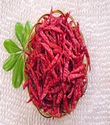 ӡ��S17���� ��������11�f-13�fSHU��