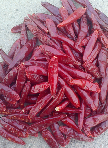 �t̫ꖸ���������������6�f����SHU��