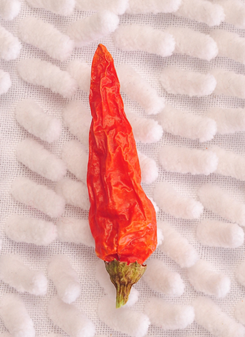 Ұɽ������������13�f(w��n)SHU��