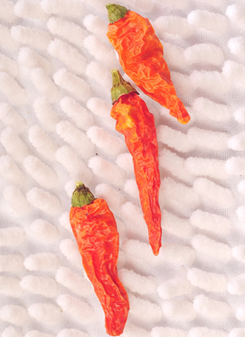 Ұɽ������������13�f(w��n)SHU��