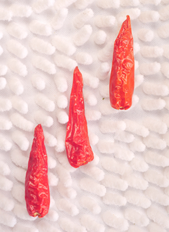 С��������������12�fSHU)