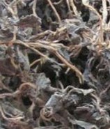 �R�X�{ �R�z�{