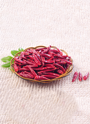 ������(������������4�f-8�fSHU)