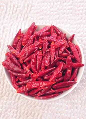 ������(������������4�f-8�fSHU)