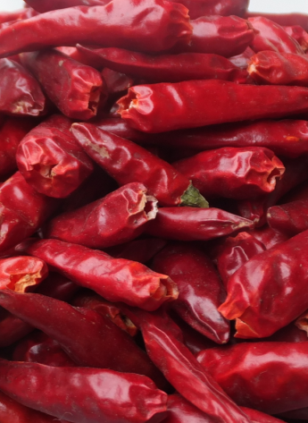 ��һ���t���������ͣ�5�f(w��n)-6�f(w��n)SHU��