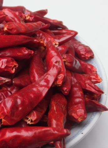 ��һ���t������������5�f(w��n)-6�f(w��n)SHU��