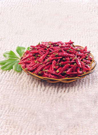 �M���ǣ���������10�f����SHU��