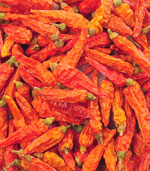 ������������������12�f(w��n)SHU)