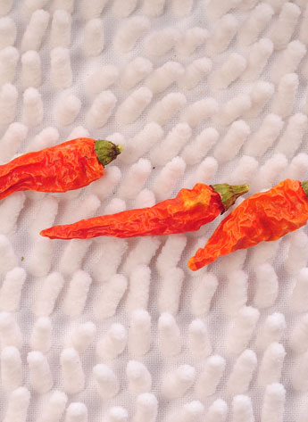 ������������������12�fSHU)