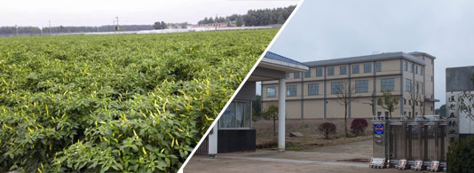 ӡ��S4��������������4�f(w��n)����SHU��