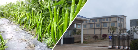 ������΢���� 2�f(w��n)-3�f(w��n)SHU��