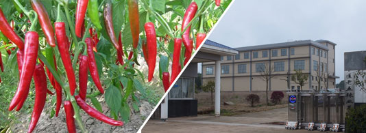 ������������������10-11SHU��