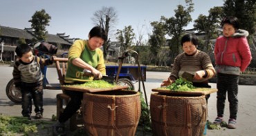 ÷�ɲ˼ӹ�����