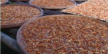 ���������I(y��)�����S����