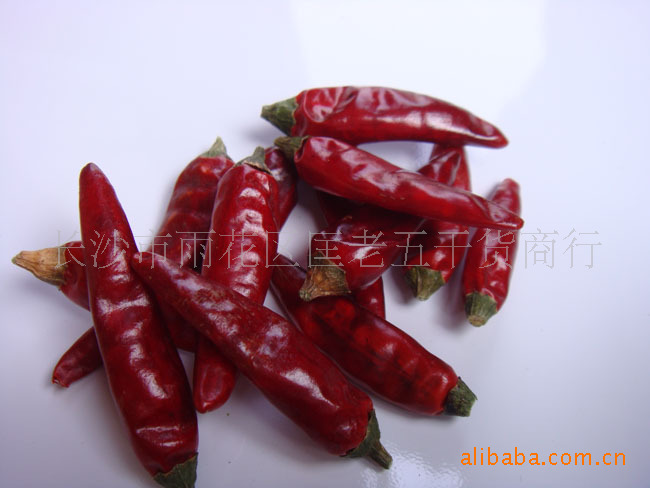 ���������I(y��)�M����