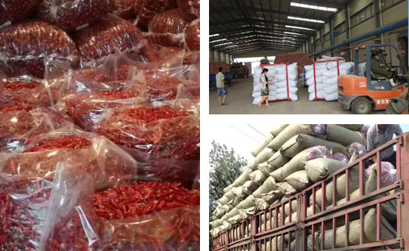 ��ɽ���������l(f��) �ҿ��������I(y��) ��(zh��n)�]�e(cu��)