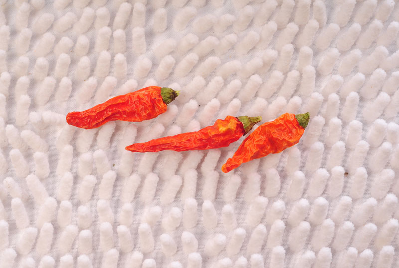 ��������;��ȫ�����B�i��偵���ʳ�u�����m�������